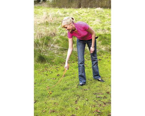Vrouw gebruikt balwerper op een gazon om een bal te gooien