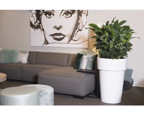Inrichtingsvoorbeeld met grijze bank, kunstwerk en plant in een witte plantenbak