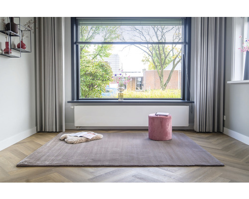 Woonkamer met tapijt, raam en decoratie