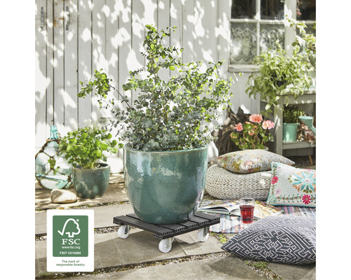 Plantenroller met plant buiten met FSC-keurmerk