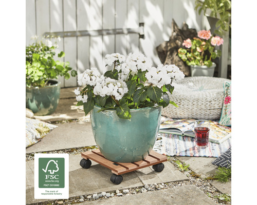 Houten plantenwagen met wielen en bloempot buitenshuis