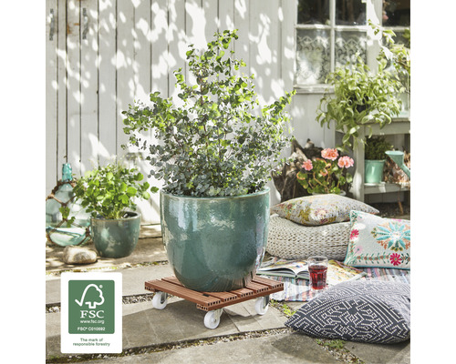 Tuinscene met plant in pot op een plantenroller en FSC-keurmerk.