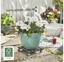 Bloempot met plant op plantenroller buiten met FSC keurmerk