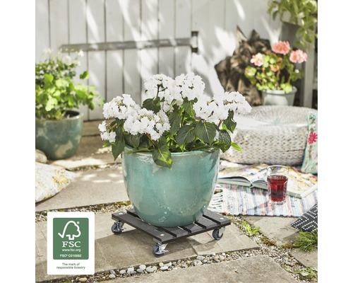 Bloempot met plant op plantenroller buiten met FSC keurmerk