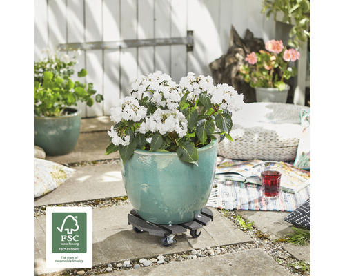 Bloempot met witte bloemen op plantenroller buiten met FSC keurmerk