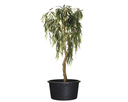 Kunstboom in zwarte pot