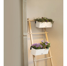 Houten ladder met twee beplante bloempotten ter decoratie in het interieur