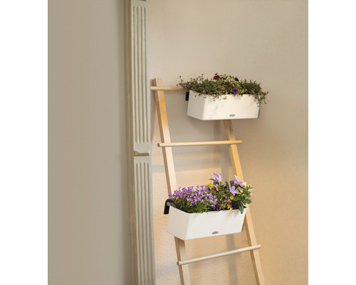 Houten ladder met twee beplante bloempotten ter decoratie in het interieur