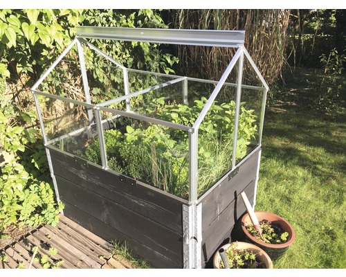 Mini-broeikas met houten frame en planten in de tuin