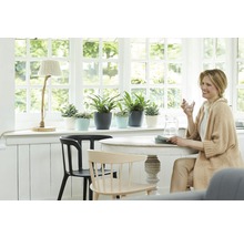 Lichte scène met kamerplanten in potten op een vensterbank, een tafel met stoelen en een vrouw