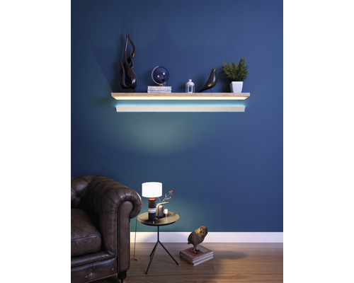 Woonkamer met verlichte wandplank, decoratieobjecten, lamp, bijzettafel en leren bank