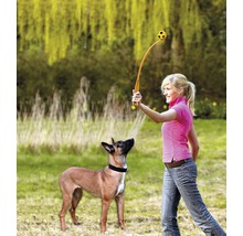 Vrouw gooit bal met balwerper voor een hond