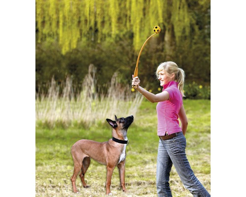 Vrouw gooit bal met balwerper voor een hond