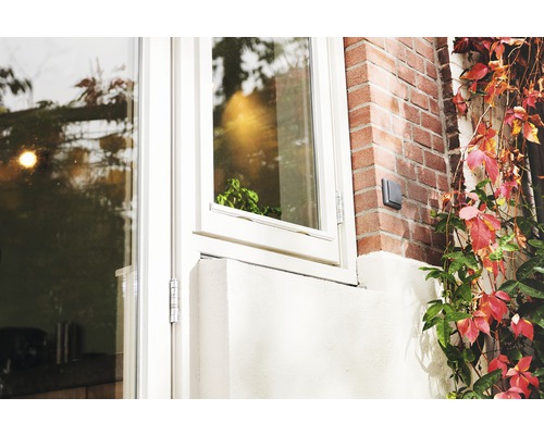 Detailopname van een raam met bakstenen muur en planten