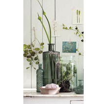 Decoratieve glazen flessen en planten op een tafel