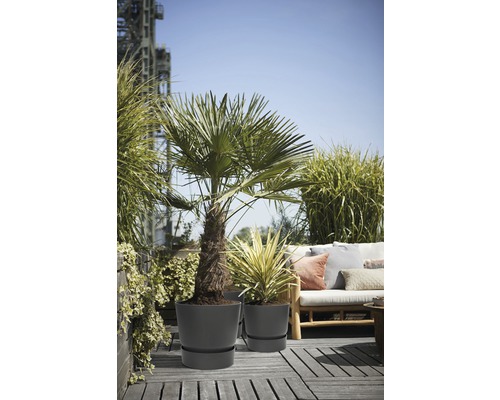 Scene met twee beplante, ronde plantenbakken op een houten terras