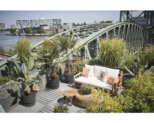 Ontworpen dakterras met zitgroep, bijzettafel en diverse planten in potten.