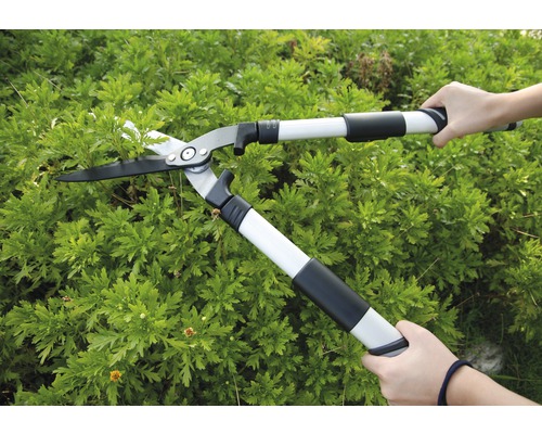 Iemand gebruikt een heggenschaar met telescopische steel om een haag te snoeien.