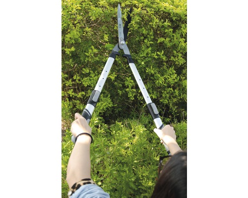 Persoon snoeit haag met een heggenschaar