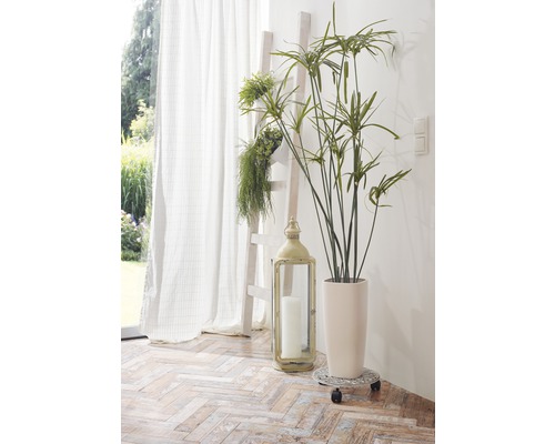 Decoratief interieur met ladderrek, kamerplant, lantaarn en gordijn