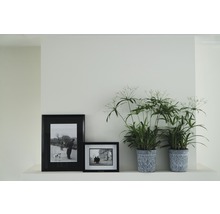 Decoratieve kamerplanten en ingelijste afbeeldingen op een plank