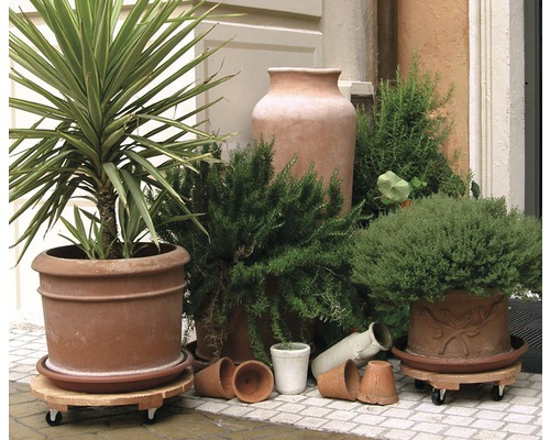 Plantenbakken op wielen met diverse planten en potten buitenshuis.