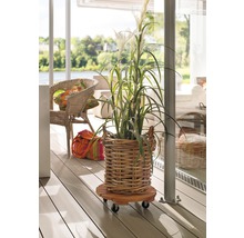 Decoratieve plant in een mand op een plantenroller op een terras.