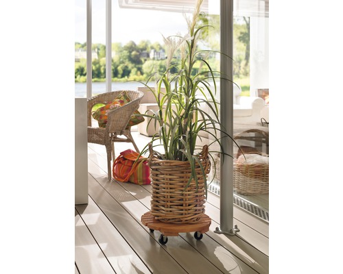 Decoratieve plant in een mand op een plantenroller op een terras.