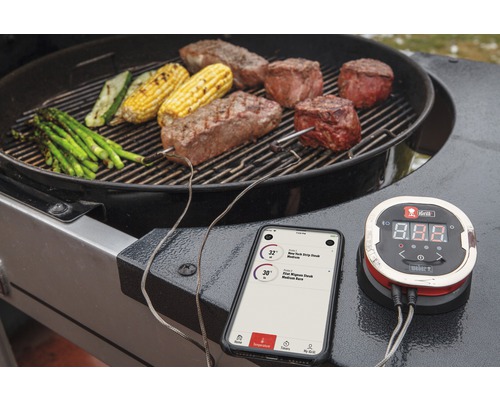 Scene met barbecue, vlees, groenten, smartphone en digitale grillthermometer voor temperatuurmeting.