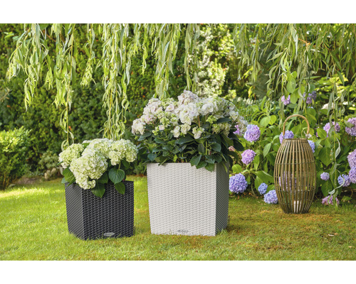 Twee plantenbakken met hortensia''s en een decoratieve lamp in de tuin.