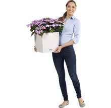 Vrouw houdt een vierkante bloempot vast met paarse hortensia''s