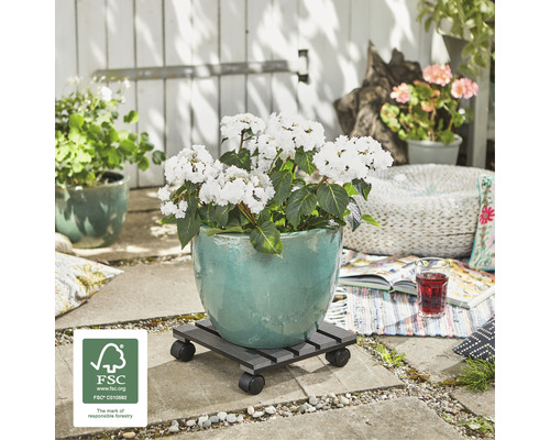 Bloempot met hortensia''s op plantenroller buiten met FSC keurmerk