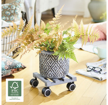 Decoratieve bloempot met plant op plantenroller en FSC keurmerk.