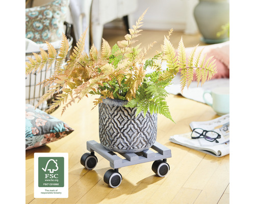 Decoratieve bloempot met plant op plantenroller en FSC keurmerk.