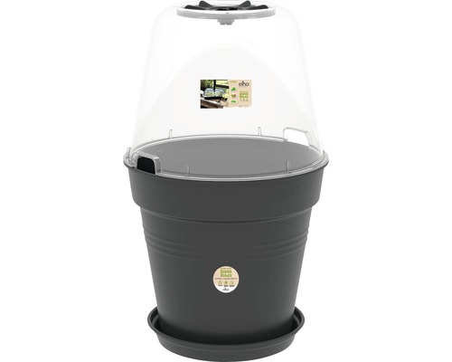 Bloempot met transparante deksel en schotel