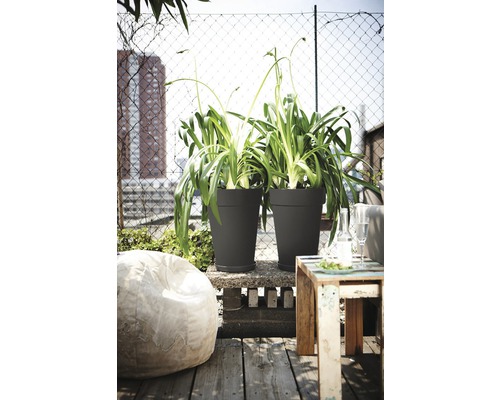 Scene met twee planten in plantenbakken op een terras met houten vloer