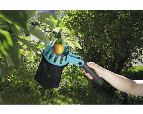 Appelplukker in gebruik met appel aan boom