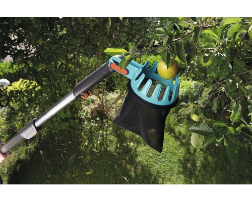 Appelplukker in boom met appels