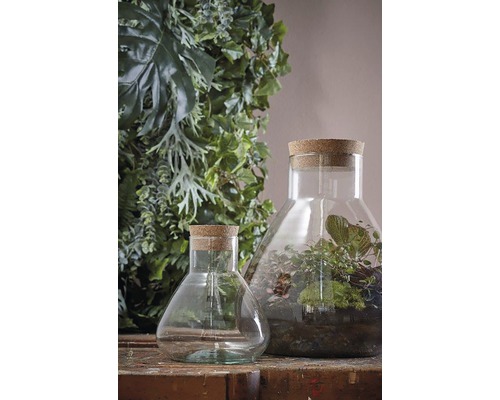 Twee glazen flessen met kurken stop, waarvan één gevuld met planten, voor een groene wand