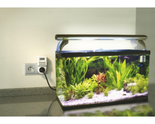 Aquarium met tijdschakelaar voor verlichtingsregeling