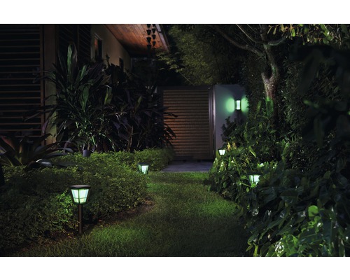 Verlichte tuinpad met buitenlampen en wandlampen