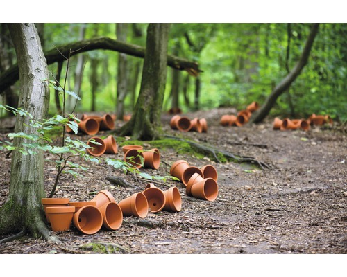Scène in het bos met meerdere omgevallen terracotta bloempotten op de grond