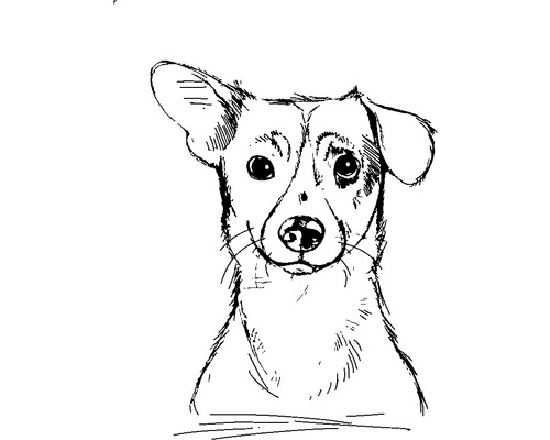 Schets van een hond