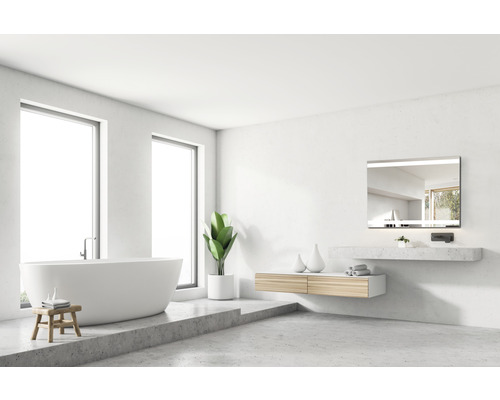 Badkamer met vrijstaand bad, wastafel, spiegel en kamerplant.