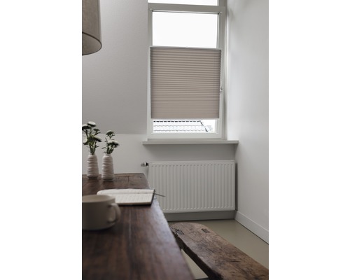 Scene met plisségordijn voor het raam, tafel, bank en radiator