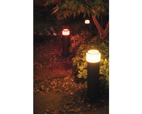 Verlicht tuinpad met meerdere bolderlampen tussen planten
