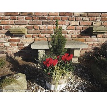 Mand met sierplanten voor stenen bank en bakstenen muur