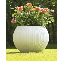 Bolvormige plantenbak met rozen in de tuin