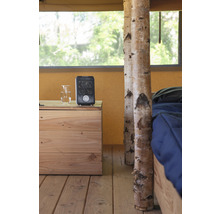 Interieur van een tent met houten vloer, nachtkastje, verwarming en bed