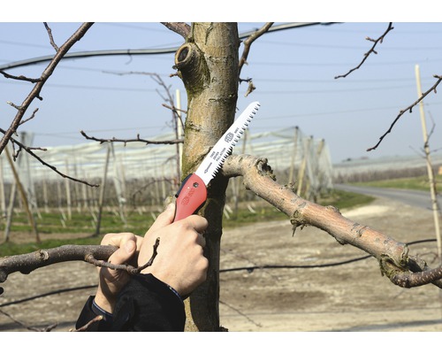 Iemand snijdt een tak af met een handzaag.